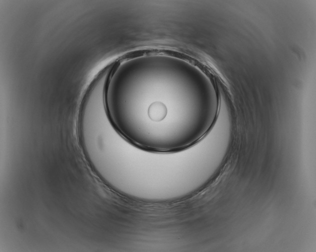 X0000113761320200909231156