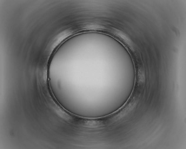 X0000113761322200909231156