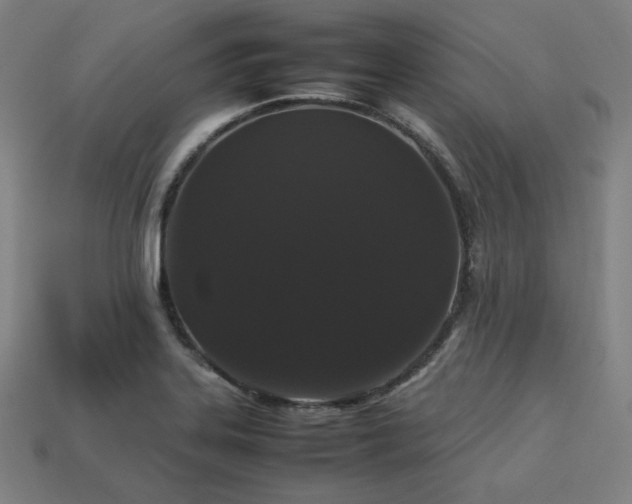 X0000113761323200909231156