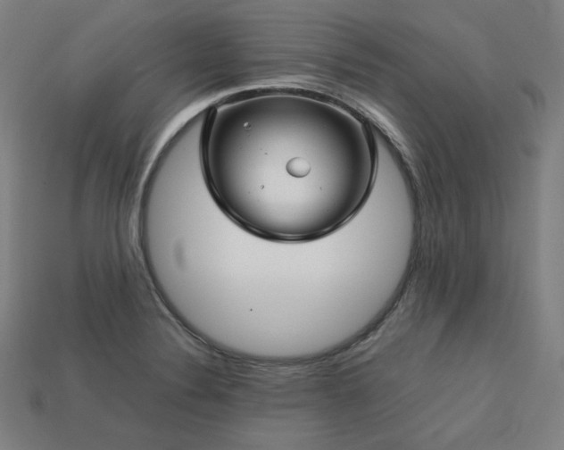 X0000113761324200909231156