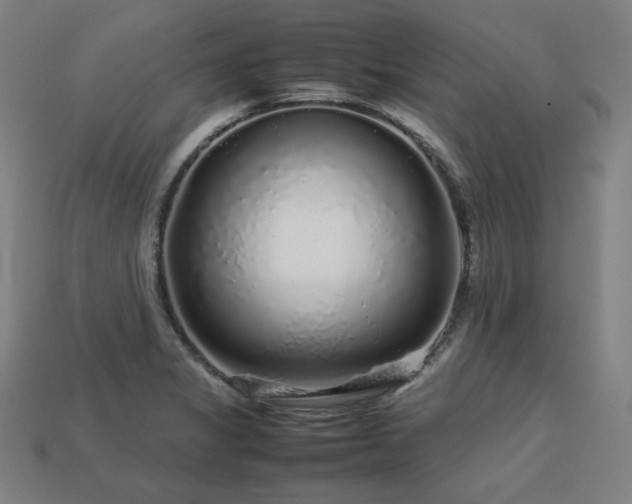 X0000113761325200909231156