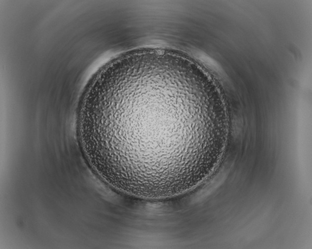 X0000113761326200909231156