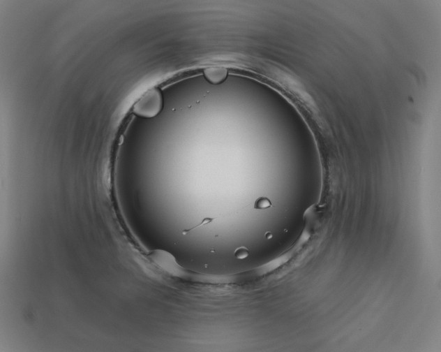 X0000113761328200909231156