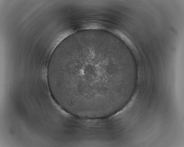 X0000113761329200909231156