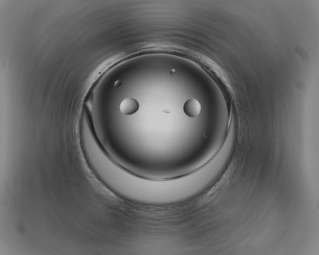 X0000113761330200909231156