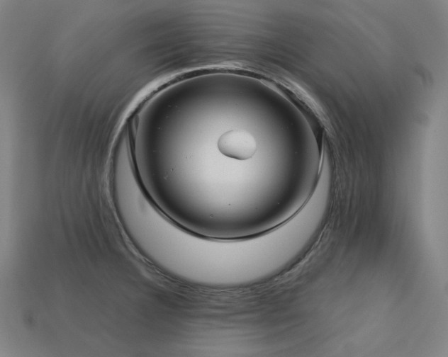 X0000113761332200909231156