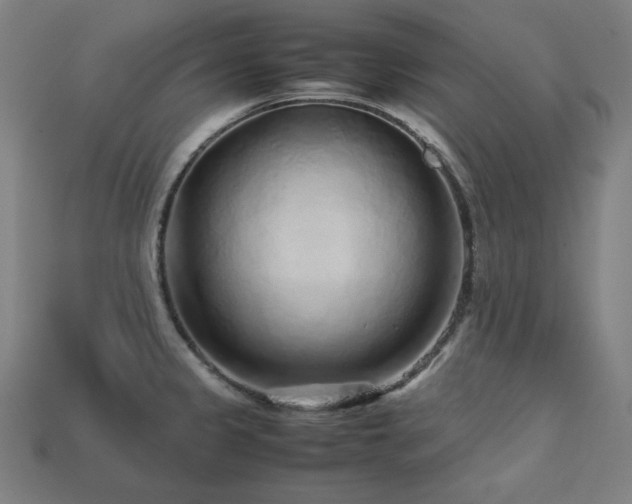 X0000113761333200909231156