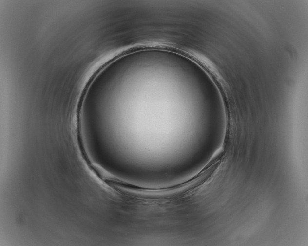 X0000113761335200909231156