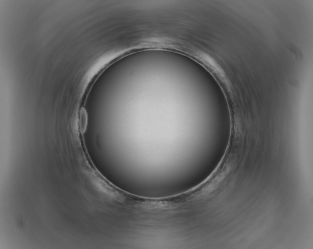 X0000113761336200909231156