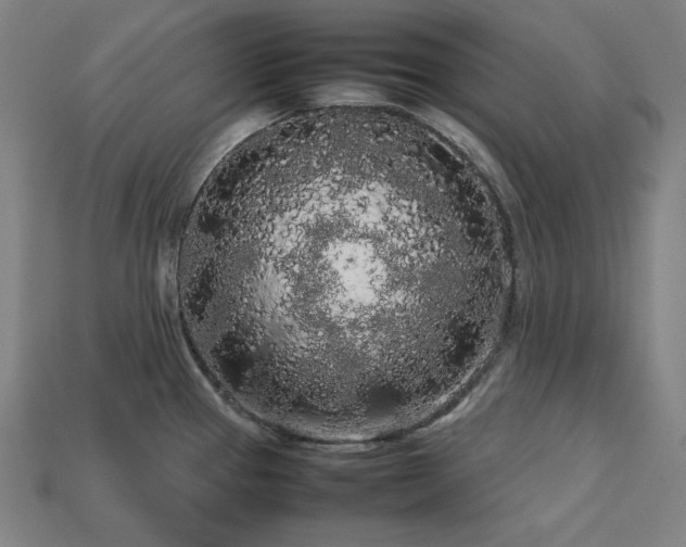 X0000113761337200909231156