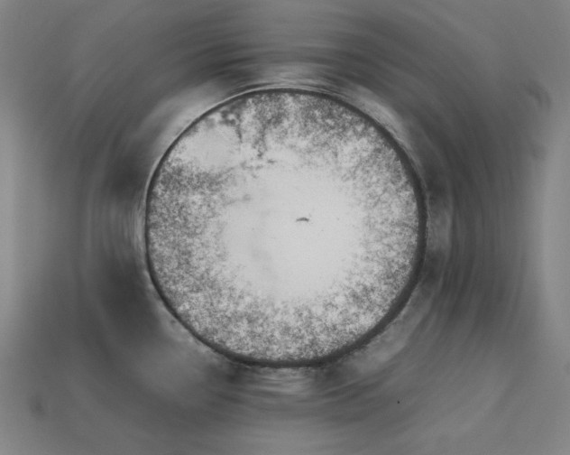 X0000113761338200909231156