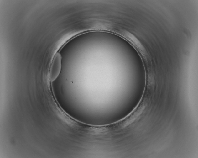 X0000113761340200909231156