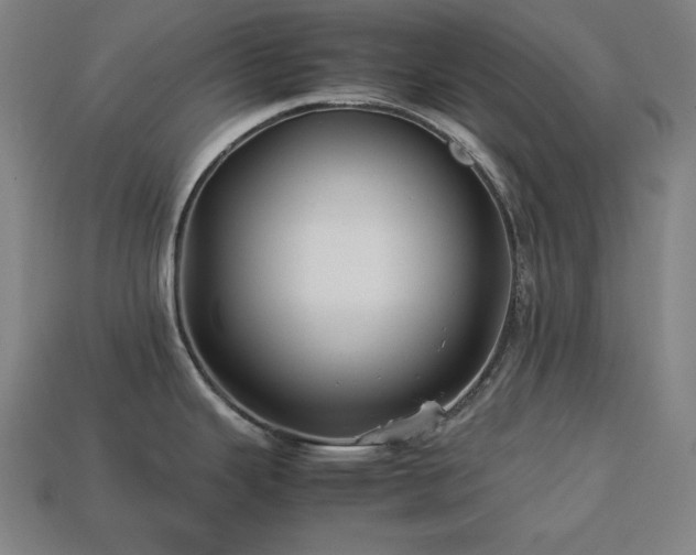 X0000113761343200909231156