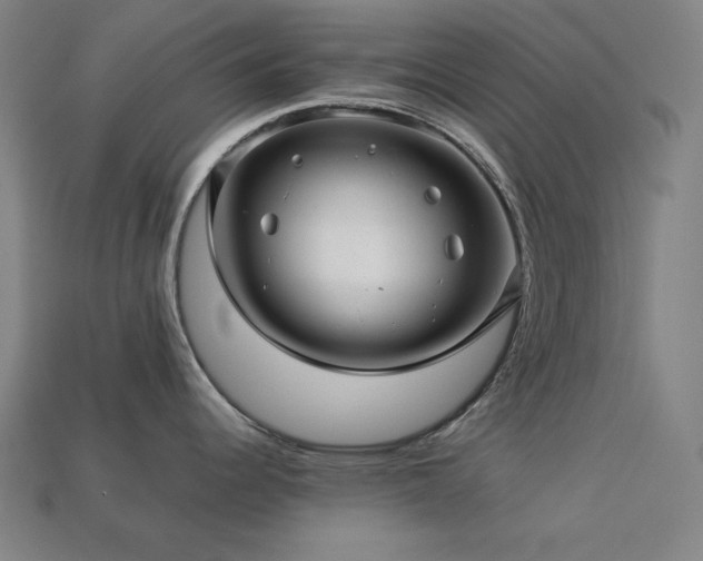 X0000113761344200909231156