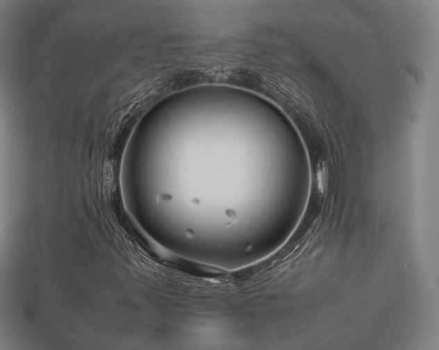 X0000113761347200909231156