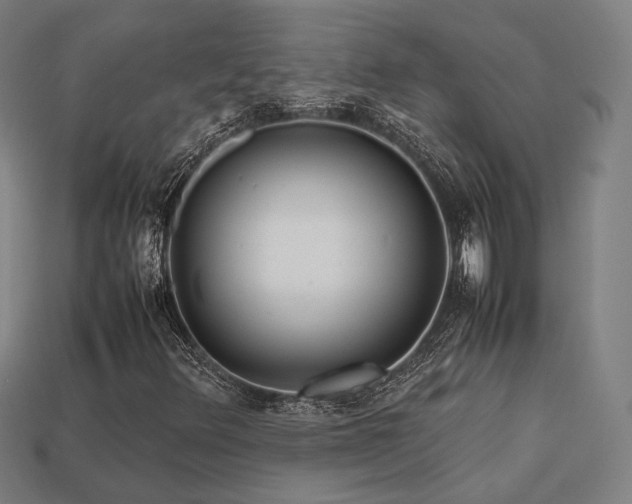 X0000113761348200909231156