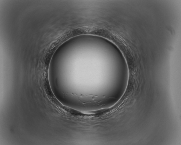 X0000113761349200909231156