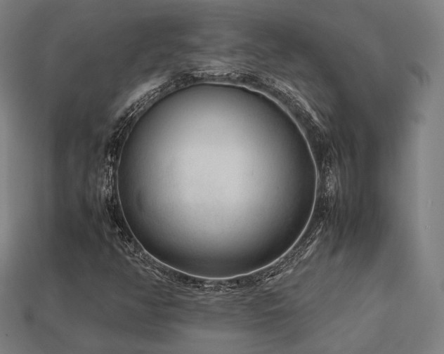 X0000113761350200909231156