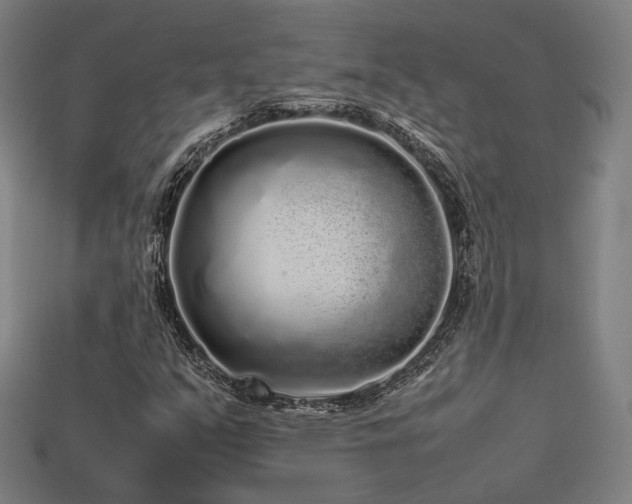 X0000113761351200909231156