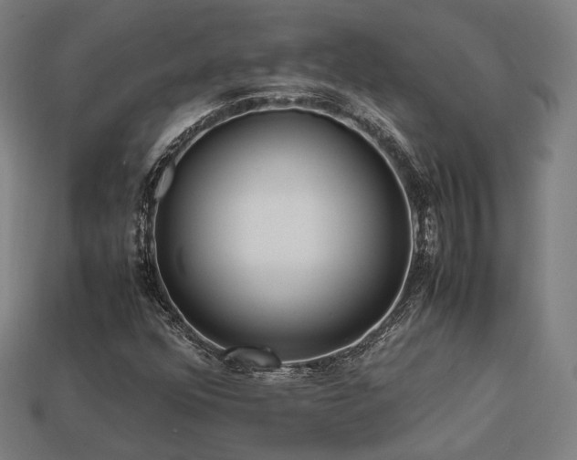 X0000113761352200909231156