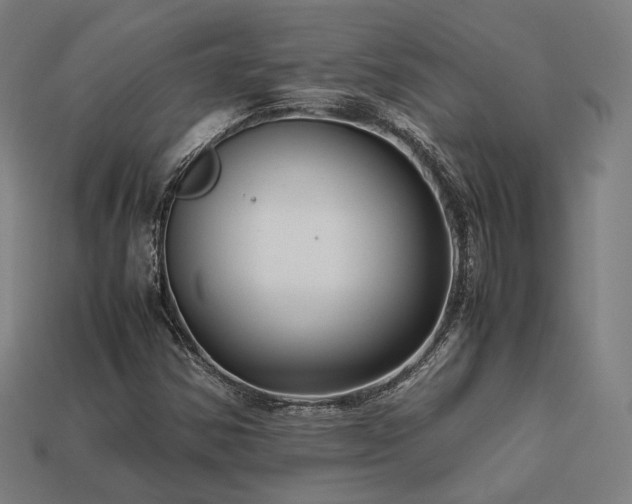 X0000113761354200909231156
