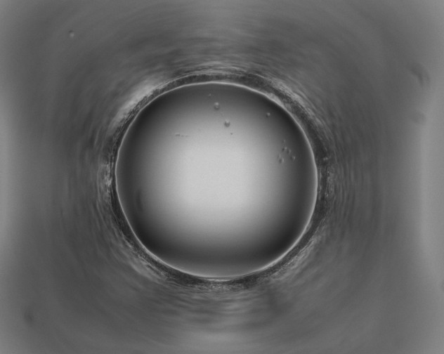 X0000113761355200909231156