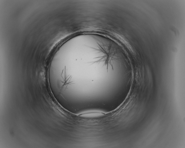 X0000113761356200909231156