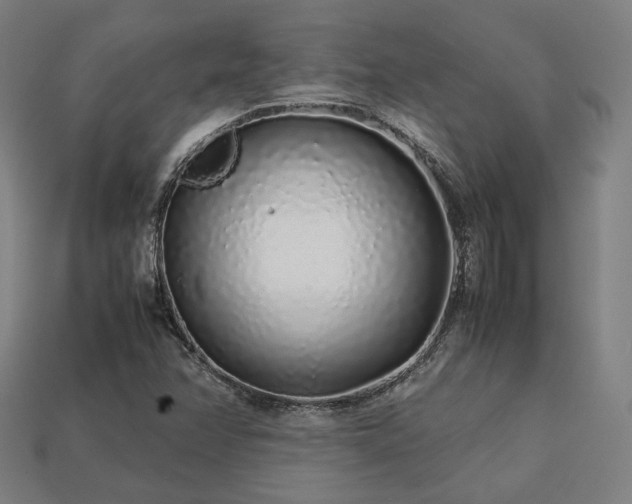 X0000113761358200909231156