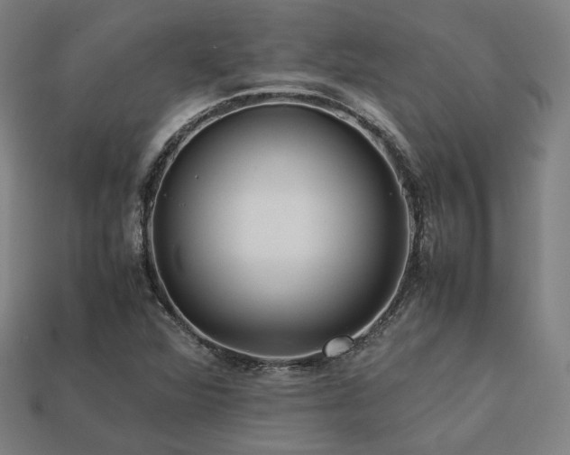 X0000113761360200909231156