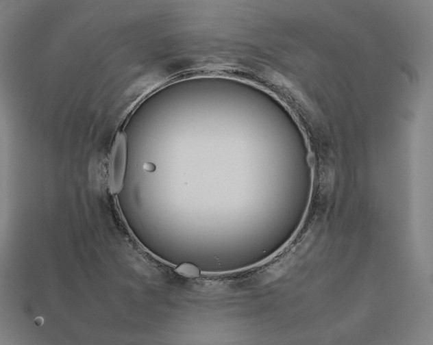 X0000113761361200909231156