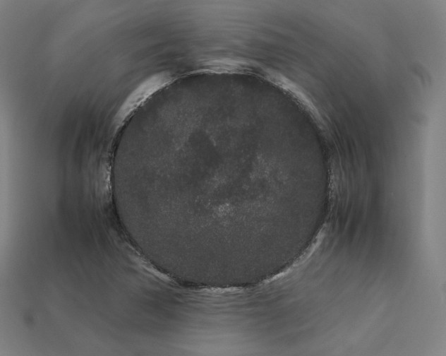 X0000113761362200909231156