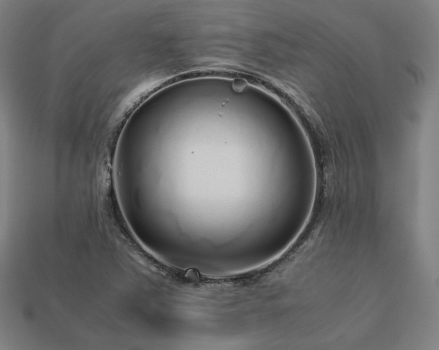 X0000113761363200909231156