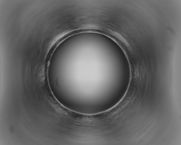 X0000113761364200909231156