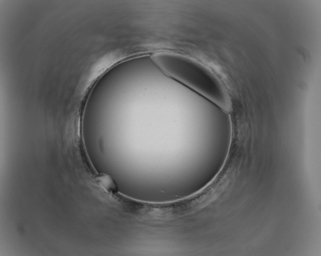 X0000113761365200909231156
