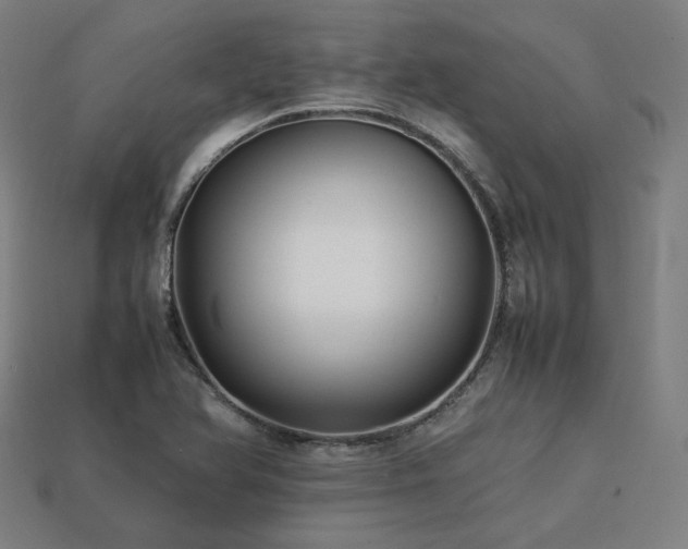 X0000113761366200909231155