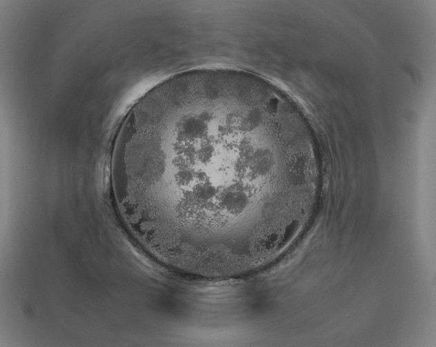 X0000113761367200909231155