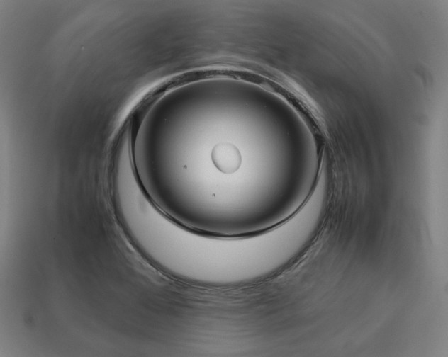 X0000113761368200909231155