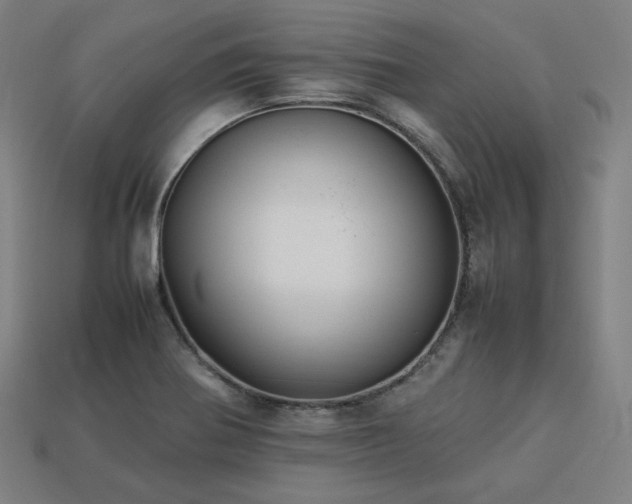 X0000113761370200909231155