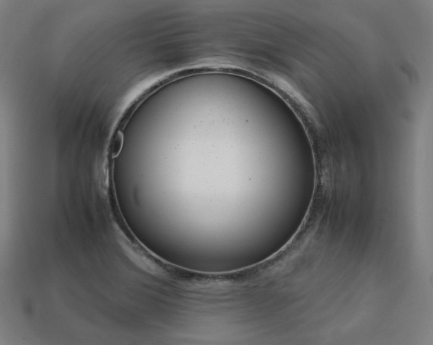 X0000113761372200909231155