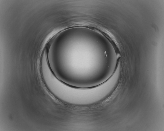 X0000113761373200909231155