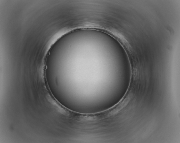 X0000113761374200909231155