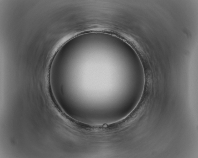 X0000113761375200909231155