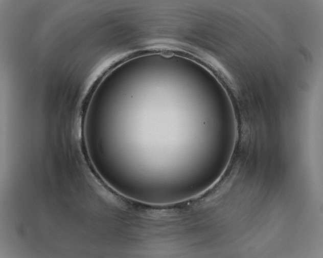 X0000113761376200909231155