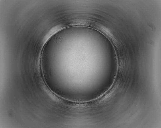 X0000113761378200909231155
