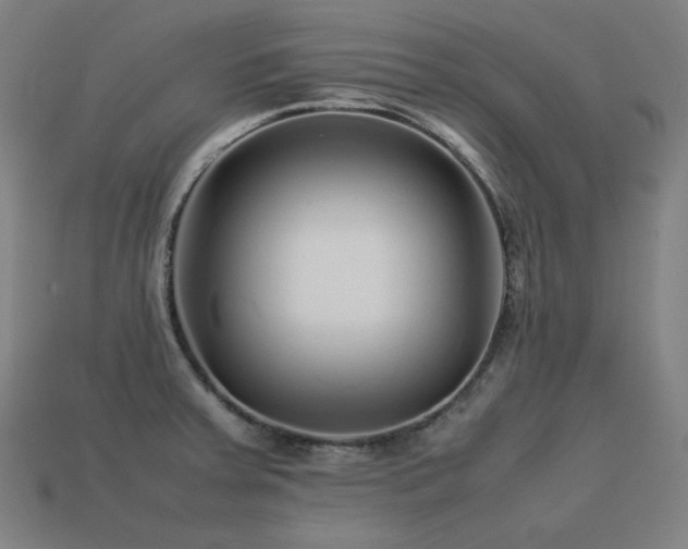 X0000113761379200909231155