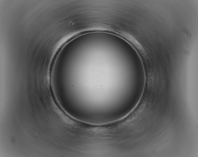 X0000113761380200909231155