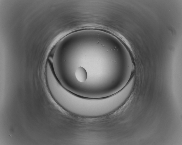 X0000113761381200909231155