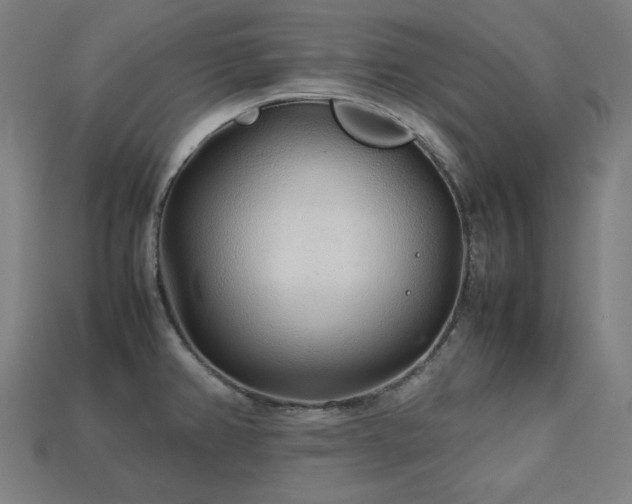X0000113761382200909231155