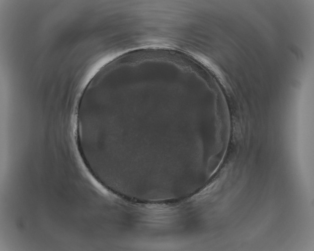 X0000113761383200909231155