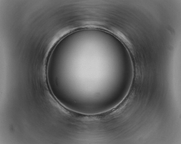 X0000113761384200909231155